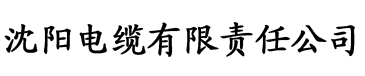 十八禁啪漫动漫电缆厂logo